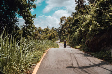 The streets inside the Atlantic forest in Rio de Janeiro, Brazilの写真素材