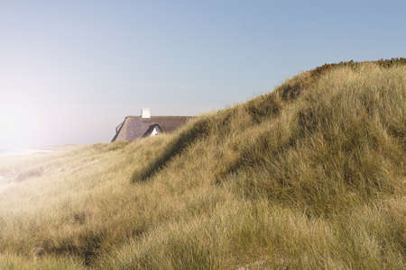 A beautiful shot of a dry grassy field with a house in the distance under a clear blue sky