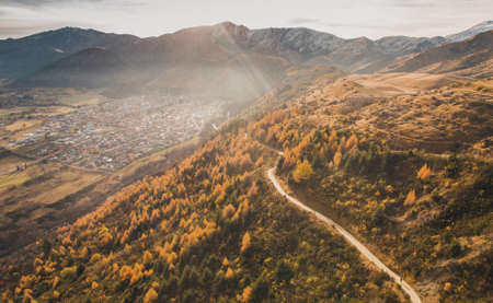 A wide shot of mountains covered with green and yellow pine trees under a sunny skyの写真素材