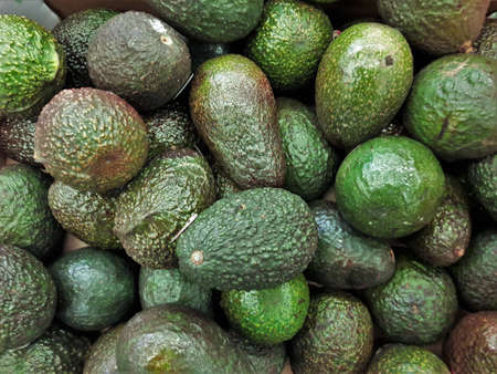 A closeup shot of avocadoes next to each other