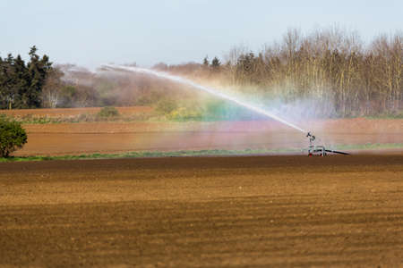 A farm combine harvester in a large agricultural field during COVID-19 pandemicの写真素材