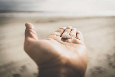A selective closeup shot of a white clam shell on the palm of a person