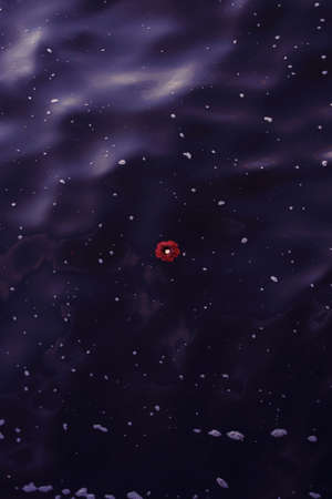 A vertical overhead shot of a single red flower floating on a body of water