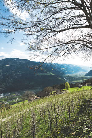 A vertical shot of a grassy field with forested mountains in the backgroundの写真素材