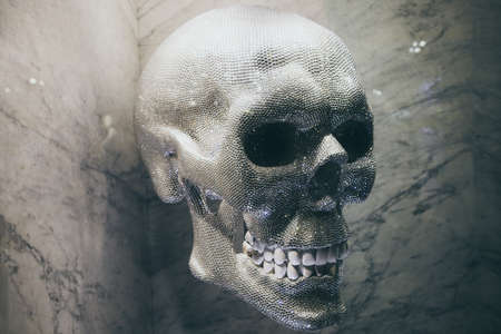 A selective closeup focus shot of a gem skull with white teethの写真素材