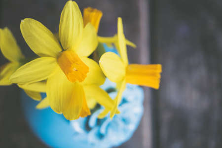 A closeup selective focus overhead shot of yellow beautiful flowers in a blue potの写真素材