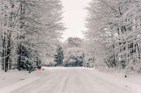 The beautiful scenery of the snowy field in the countryside of Pennsylvania