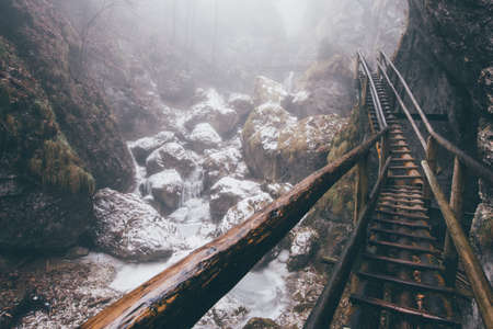 A horizontal closeup of a wooden pathway near a cliff with the forest visible in the backgroundの写真素材