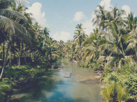 A beautiful shot of a river surrounded by palm trees and tropical bushesの写真素材
