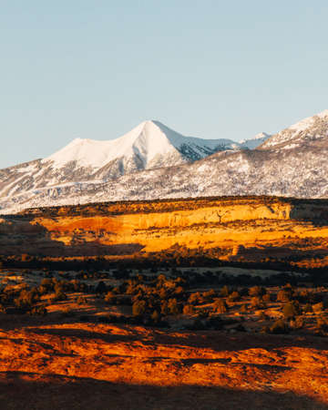 A vertical shot of a field with trees and a snowy mountain in the distance