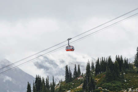 A horizontal shot of a red cable car going up the mountain with pine trees visible in the background