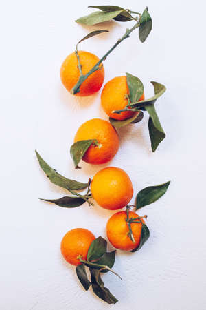 An overhead vertical shot of oranges on a white surfaceの写真素材