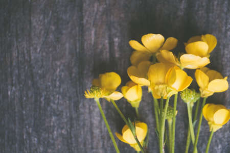 A closeup shot of yellow California poppy flowers on a gray wooden background