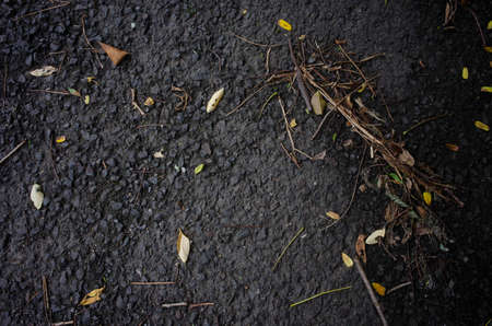 A closeup shot of black stone with dry greenery on it