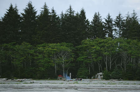 A horizontal shot of a peaceful beach in Bamfield, Canada with people resting and trees in the backの写真素材