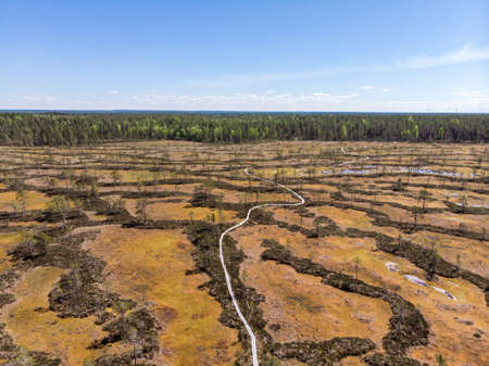 A landscape from the Kauhaneva-Pohjankangas National park in Finland on a sunny clear dayの写真素材