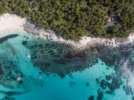 An aerial shot of an ocean coast with sandy beach and greenery on the foreground