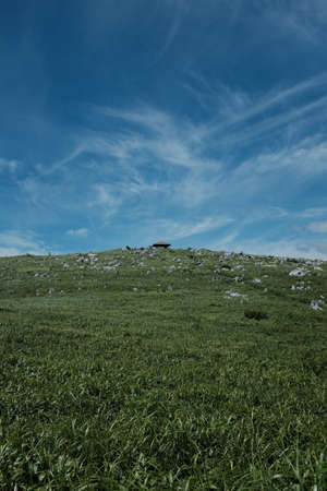 A vertical shot of a hill covered with grass under a blue sky