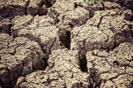 A close shot of cracked dry soil textures at daytime