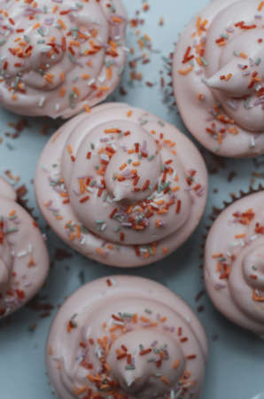 A top view of chocolate cupcakes with a sprinkle toppings  on a blue plate