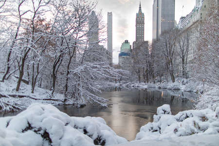 A wide shot of a frozen lake surrounded with trees filled with snow near skyscrapers at Central Park in New Yorkの写真素材