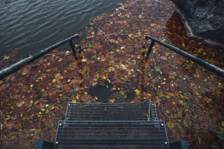 A high angle shot of metal stairs going in to the water with colorful leaves floating on the water