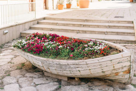 A close shot of flowers in a wooden boat on the ground with a blurred backgroundの写真素材