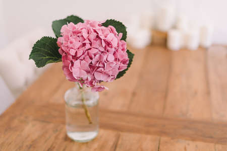 A close shot of pink flowers in a jar on a wooden table with a blurred backgroundの写真素材