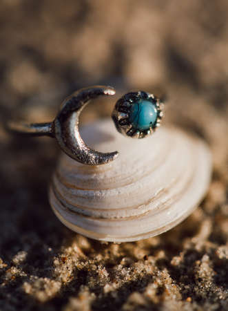 A selective closeup focus shot of a beautiful silver ring on the shell during daytime