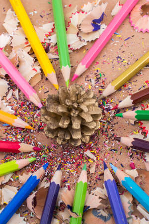 A close up shot of a pine cone surrounded by sharp colorful pencilsの写真素材