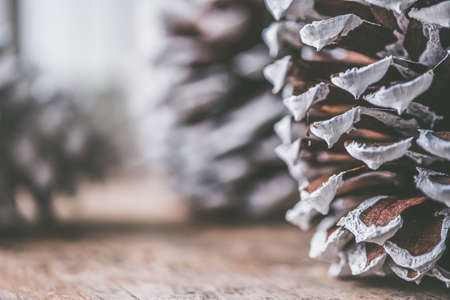 A closeup shot of decorative pinecones for Christmas time