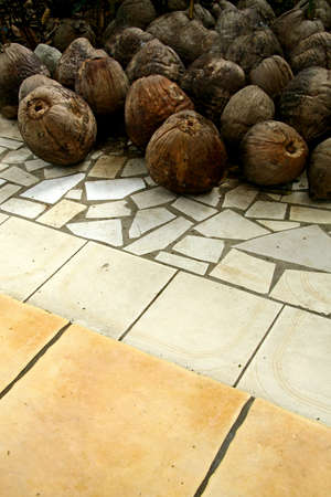 A vertical shot of dried coconuts on a tiled floor