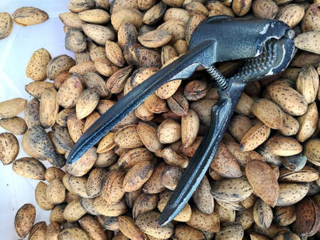 A close up shot of almonds and an almond breaker