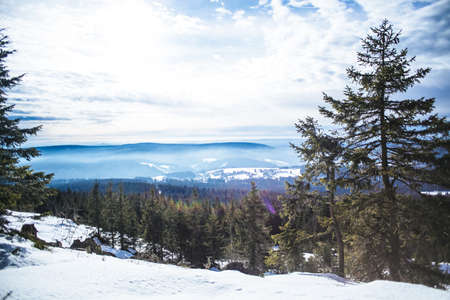 A beautiful high angle shot of a forest with pine trees and mountains covered in snow under cloudy skyの写真素材