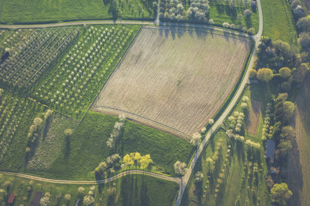 An aerial shot of grassy field with trees and pathways in the middle at daytimeの写真素材