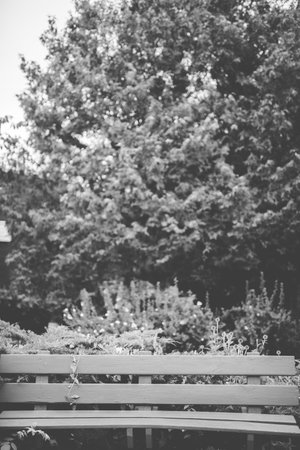 A vertical shot of a bench near trees and plants in black and whiteの写真素材