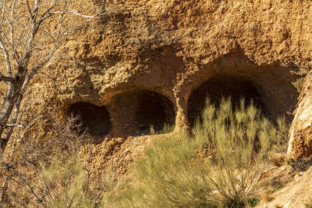 A beautiful shot of a cave at a sunny day