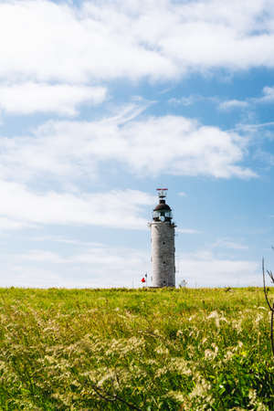 A vertical shot of a grassy field with a lighthouse in the distance under a cloudy sky in Franceの写真素材