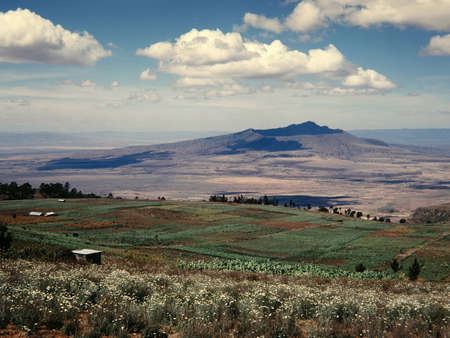A wide shot of flowers and a grass field surrounded by trees and volcanic mountain under a cloudy...