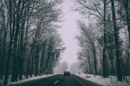 A beautiful shot of a road in the middle of a snowy field with snowy trees with a foggy sky in the backgroundの写真素材