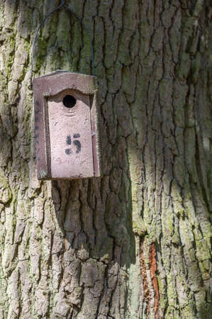 A vertical shot of a wooden birdhouse on a tree trunkの写真素材