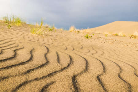 A selective closeup shot of desert sandの写真素材