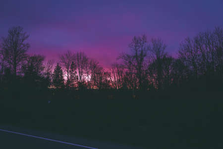 A beautiful silhouette  shot of trees under dark sky during nighttime