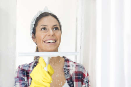 A brunette female holding a cleaning tool against a window