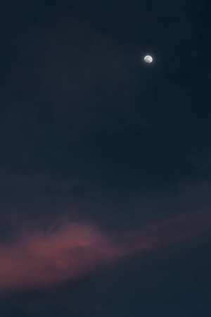 A beautiful vertical shot of a full moon in a night sky