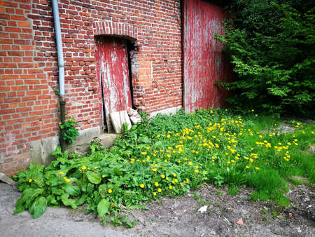 A door in a building made of bricks in front of the green plantsの写真素材