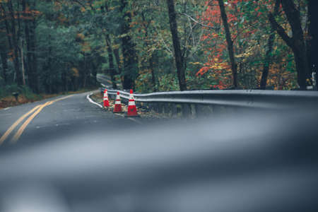 A shot of traffic cones on a road surrounded by trees