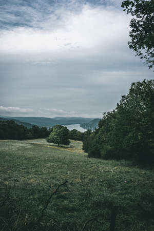 A vertical shot of a green field during evening time under the cloudy sky