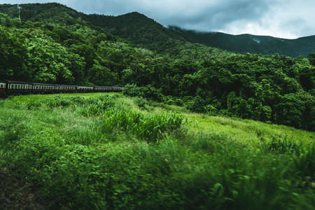 A beautiful view of a train travelling in a green mountainous forestの写真素材