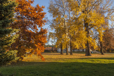 A beautiful shot of a grassy field with different color trees at daytime in Russiaの写真素材